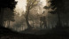 Игра GreedFall [PS4, русские субтитры] в Омске