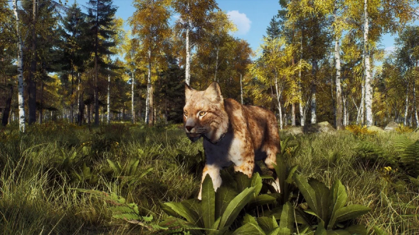 Игра Way of the Hunter: Wild Expeditions [PS5, русские субтитры] в Омске