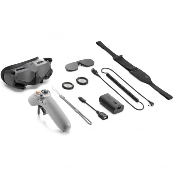 DJI Goggles 2 Motion Combo (DJI RC Motion 2) в Омске