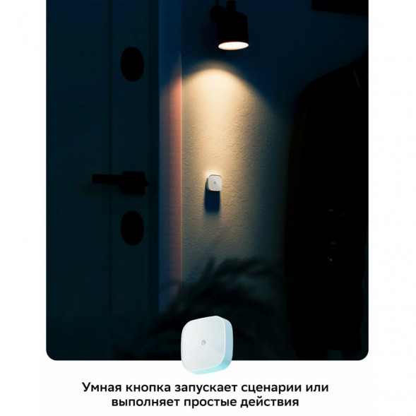 Умная кнопка Sber SBDV-00032 в Омске