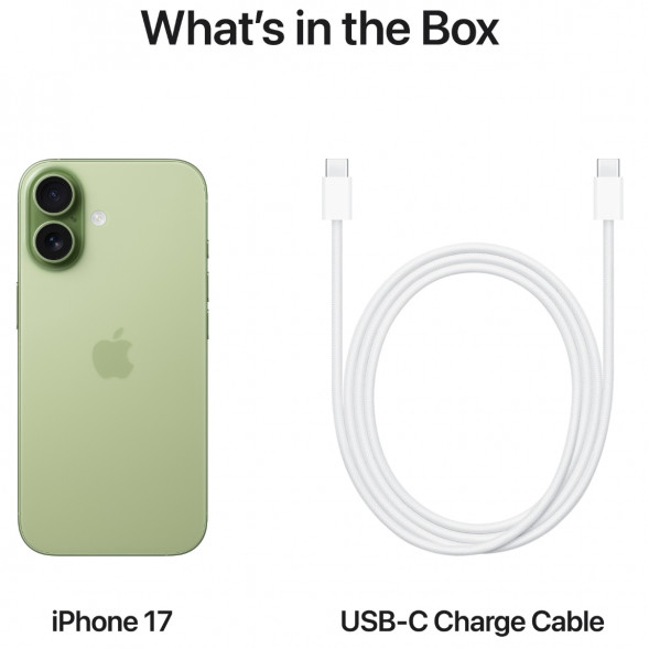 Смартфон Apple iPhone 17 256GB eSim, Sage в Омске