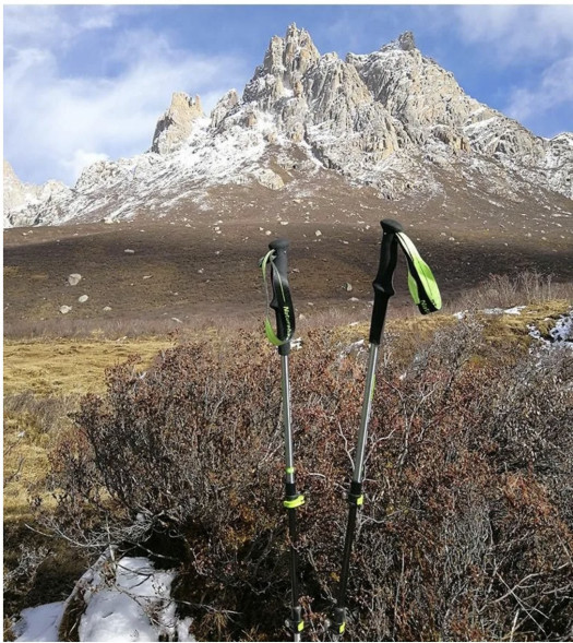 Треккинговая палка Naturehike 135 см, 1 шт., черный/красный в Омске