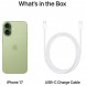 Смартфон Apple iPhone 17 512GB eSim, Sage в Омске