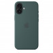Чехол Apple для iPhone 16 Plus Silicone MagSafe,  Lake Green (MYYH3ZM/A) в Омске