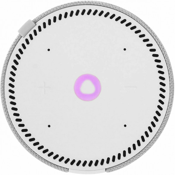 Умная колонка Яндекс Станция Мини (без часов), cерый опал в Омске