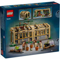 Конструктор LEGO Harry Potter 76445 Замок Хогвартс: Урок травологии