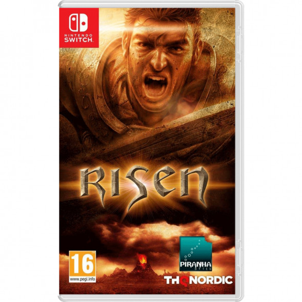 Игра Risen [Nintendo Switch, русская версия] в Омске