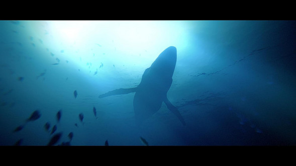 Игра Under The Waves [PS4, русские субтитры] в Омске