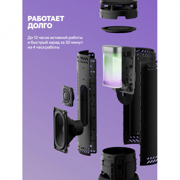 Умная портативная колонка Яндекс Станция Стрит с Алисой, черный в Омске