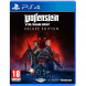 Игра Wolfenstein Youngblood Deluxe Edition [PS4, русская версия] в Омске