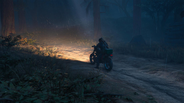 Игра Жизнь После (Days Gone) [PS4, русская версия] в Омске