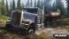Игра Spintires: MudRunner American Wilds [Nintendo Switch, русские субтитры] в Омске